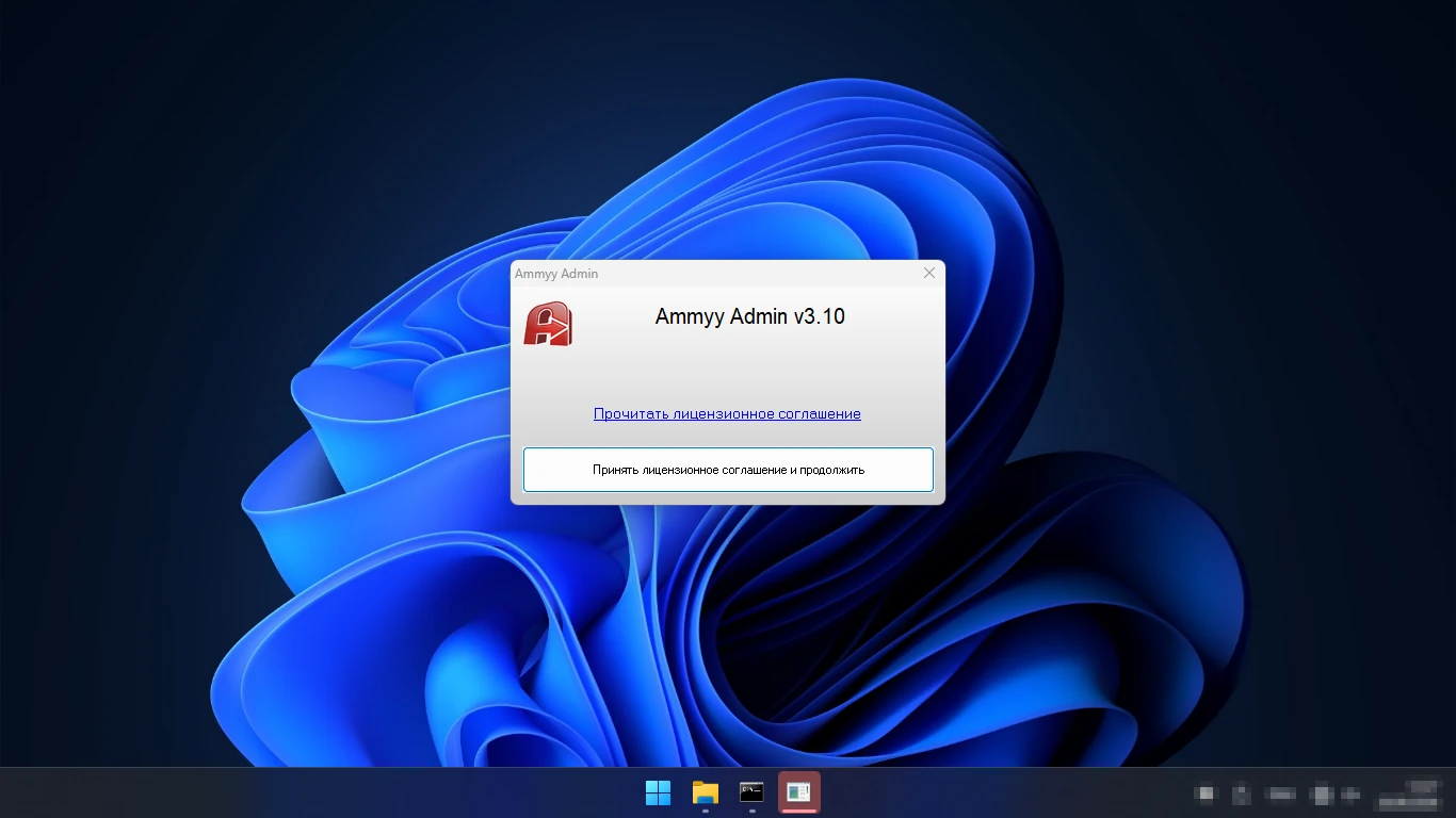первый запуск Ammyy Admin 3.10 — принять лицензионное соглашение