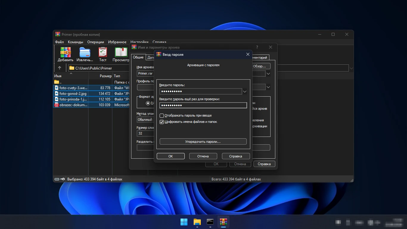 как поставить пароль на архив WinRAR — окно ввода пароля