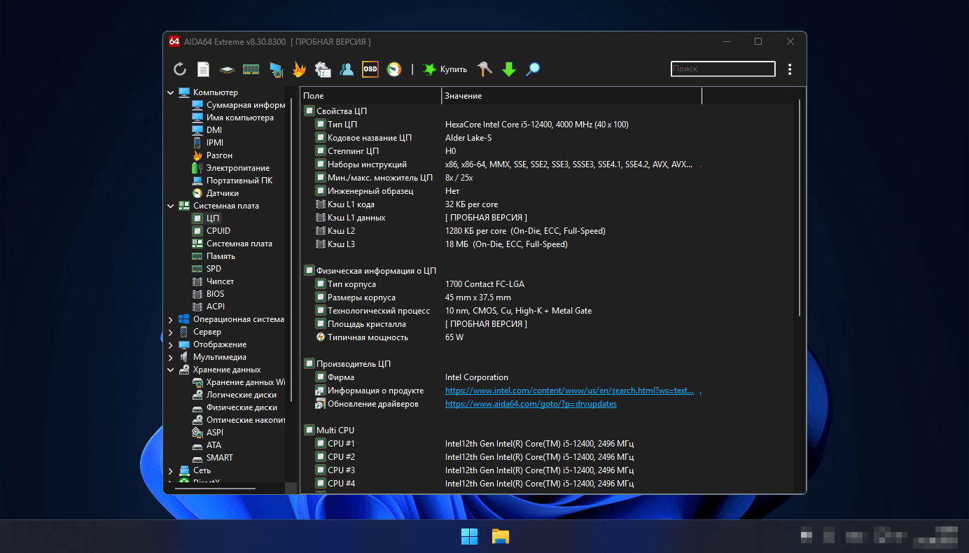 главная страница AIDA64 с деревом разделов Computer / Motherboard / Storage